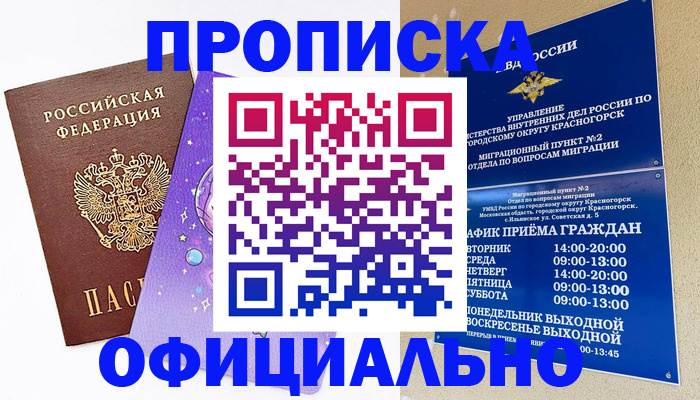 временная регистрация собственник в Никольском